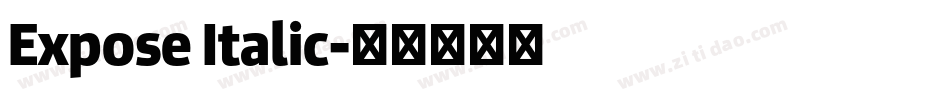 Expose Italic字体转换